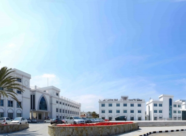 جامعة كيرنيا (Kyrenia University)